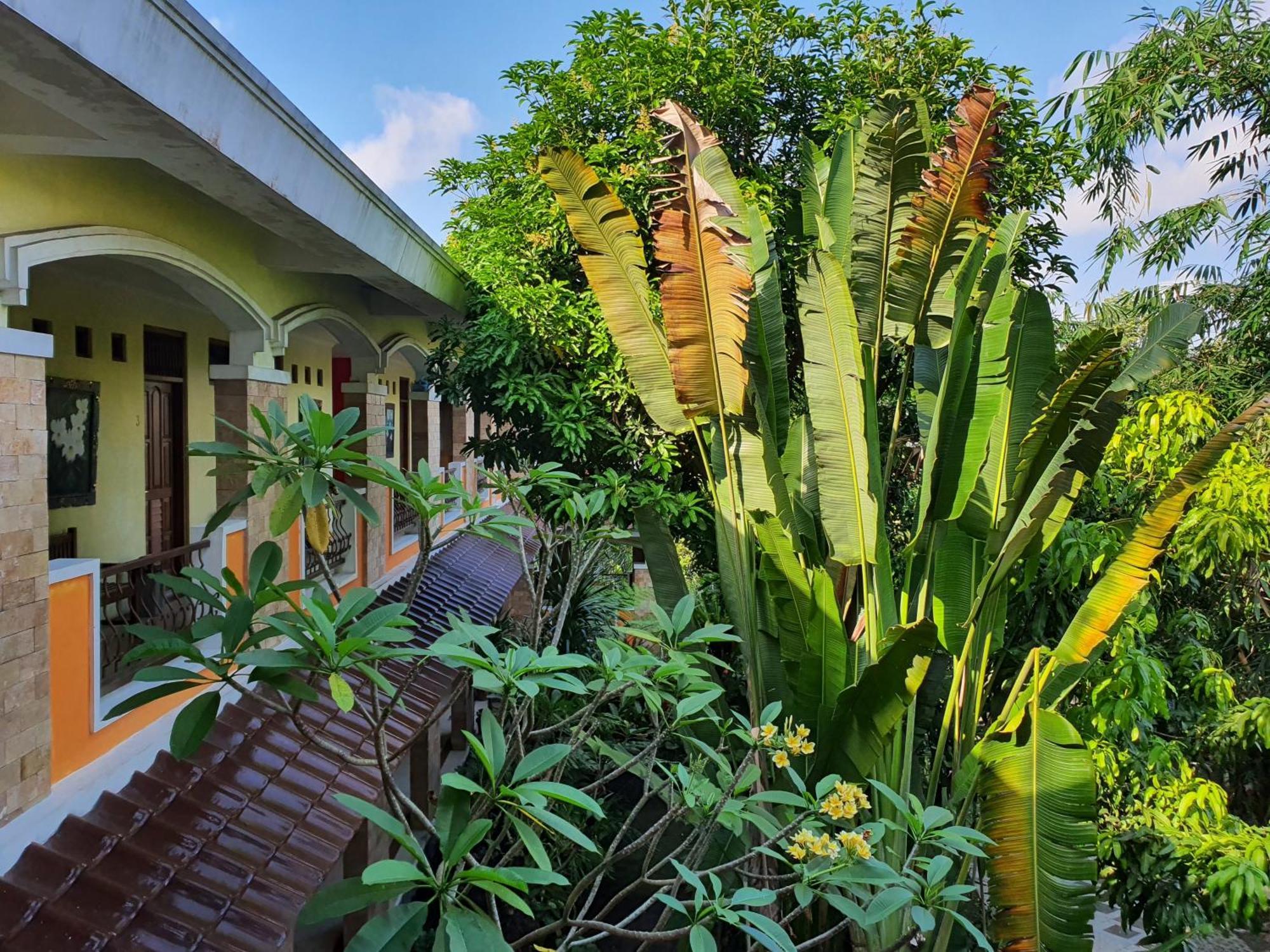 Villa Alicia Maguwo Extérieur photo